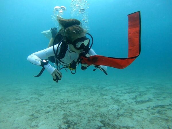 WhatsApp Image 2023-02-26 at 19.30.40 GUE Open Water Diver